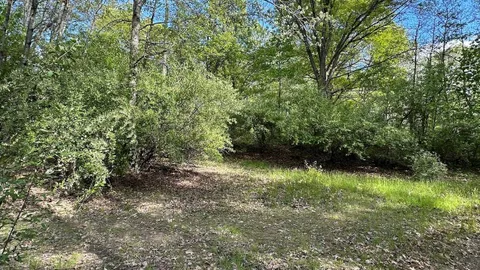 Woodland Rustic Sites - Tent — image 5 of 5