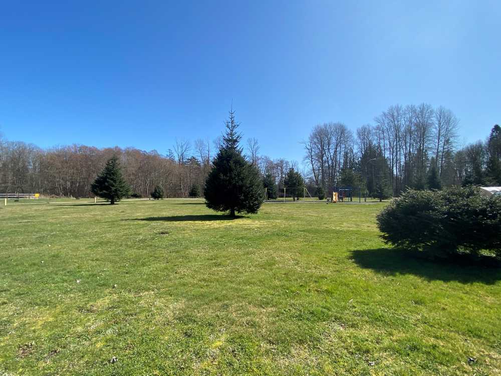 Park Image 5