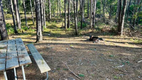 WOODED SITE 16 — image 1 of 2