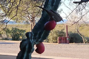 North Ranch RV Park – photo 5