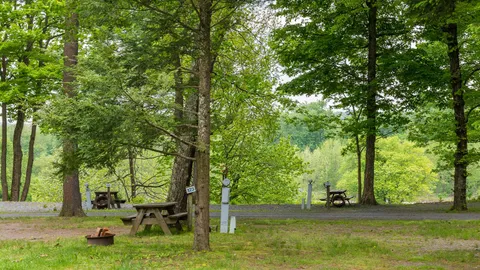 Standard Pull-Thru RV Site — image 1 of 4