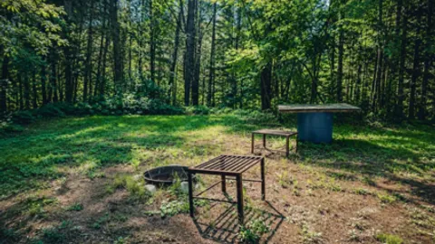 Hill Side — image 5 of 5
