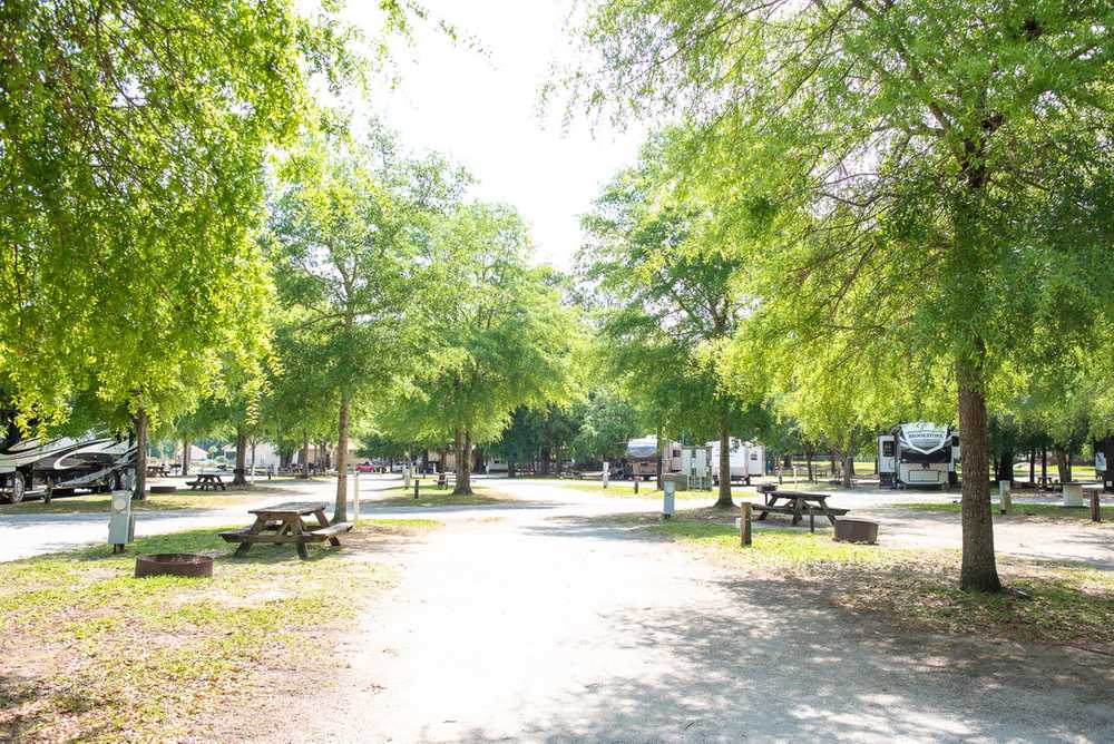 Palmetto Shores RV Resort, Summerton, South Carolina - Photo 5