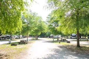Palmetto Shores RV Resort – photo 5