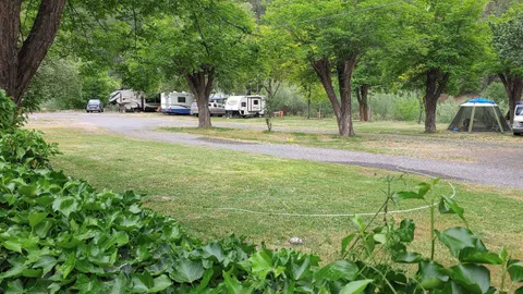 50 AMP RV/Tent Site — image 1 of 3