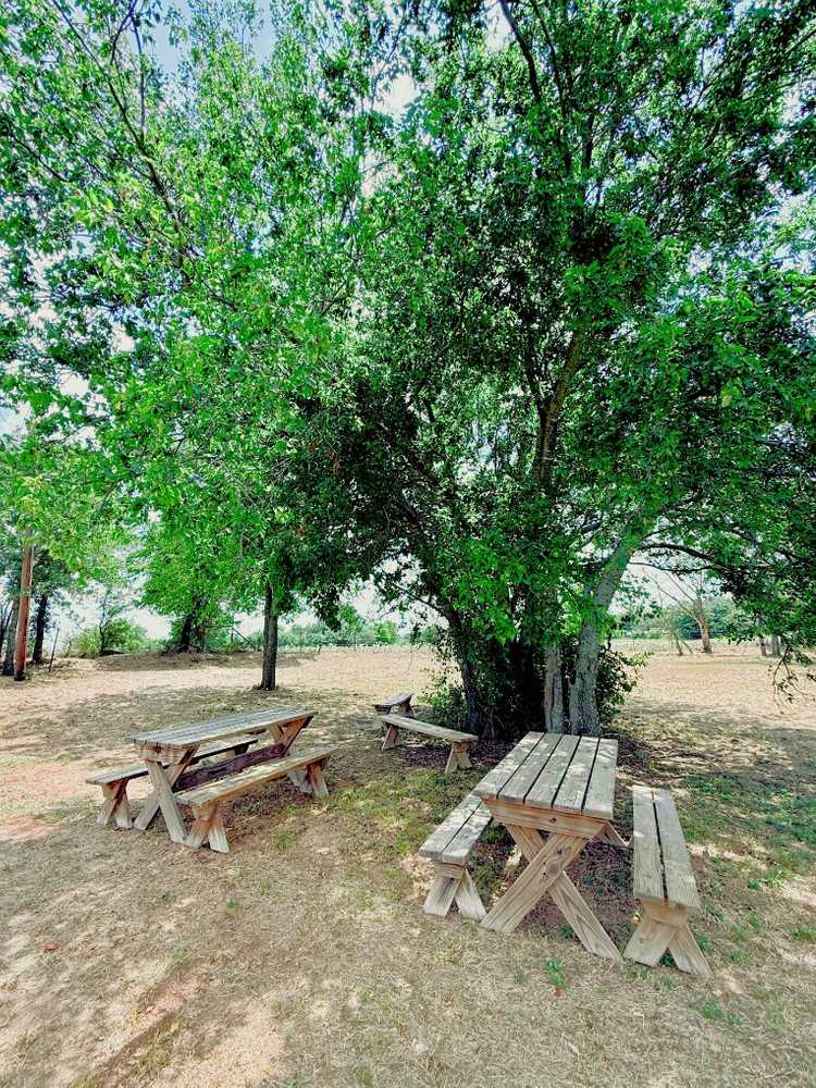 Sendera RV Park, Springtown, Texas - Photo 3