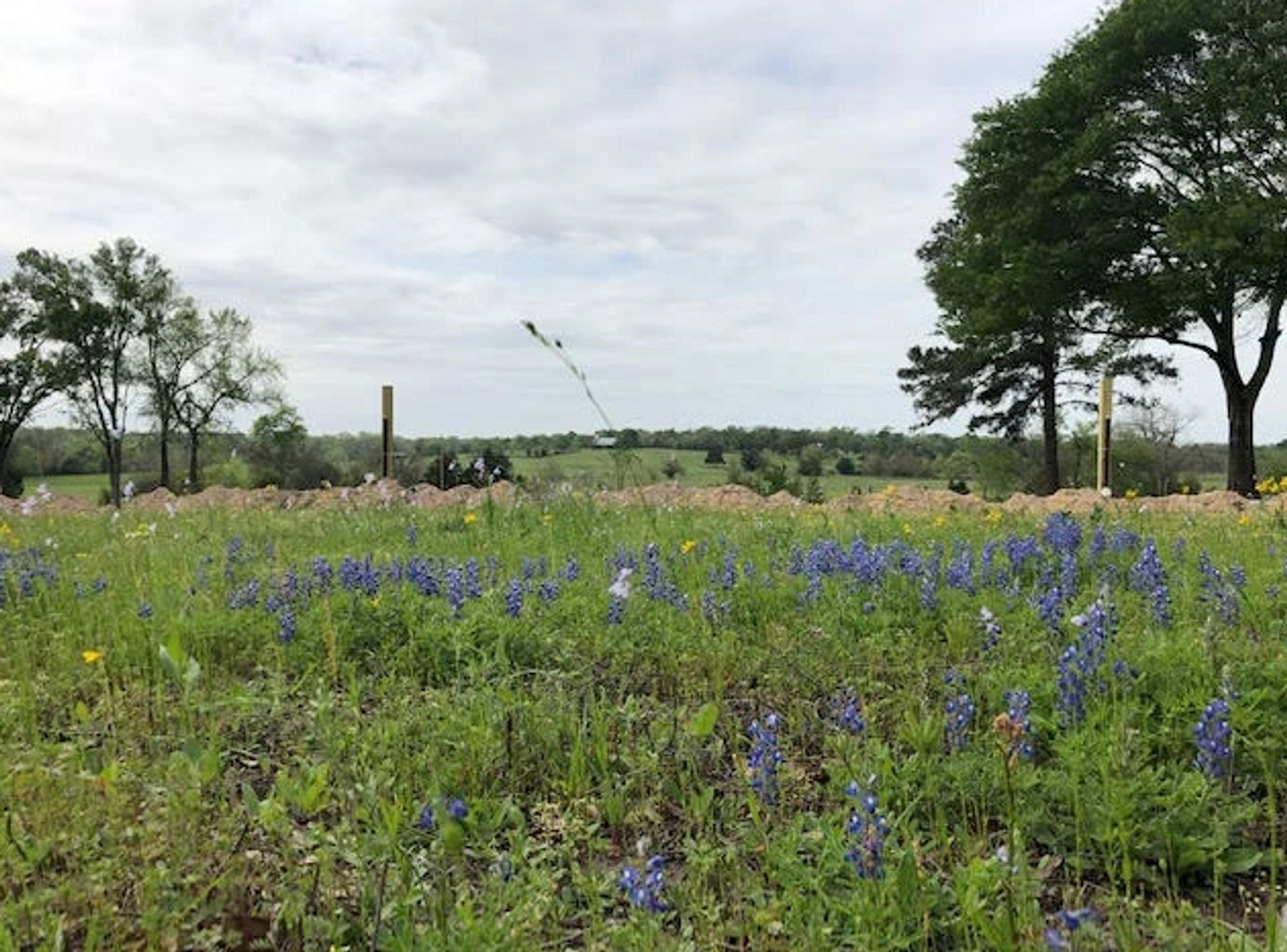 Birthplace of Texas RV Park