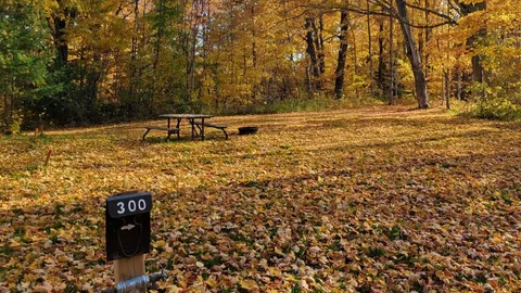 SBL Site 300 - Unserviced (TE) — image 1 of 2