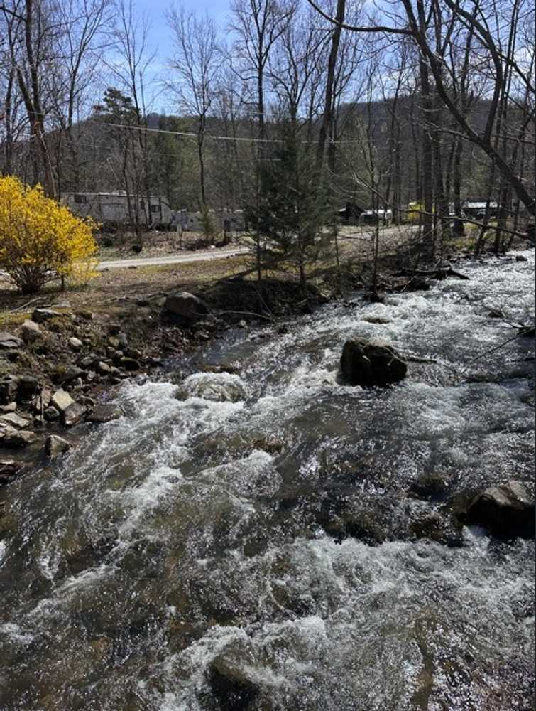 Park Image 6