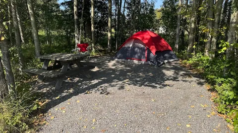 15-Amp Tent Site — image 2 of 2