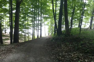 Back-Achers Campsites – photo 4