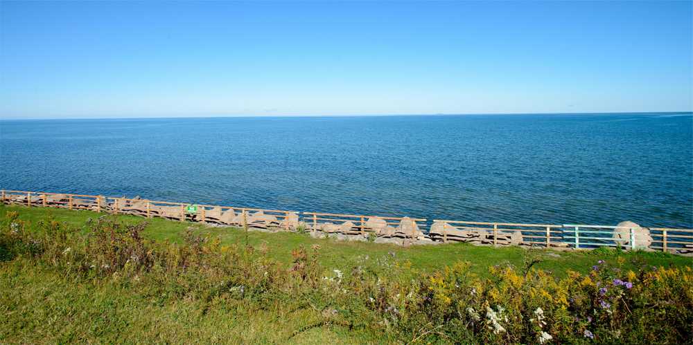 Park Image 12
