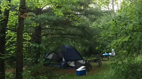 Primitive Walk In Tent Site — image 1 of 22