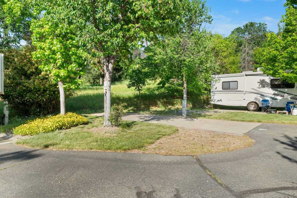 Park Image 5