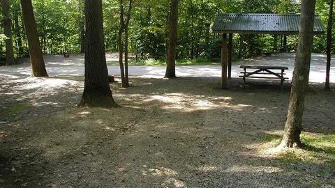 Deluxe Tent Sites Tents Only — image 2 of 3