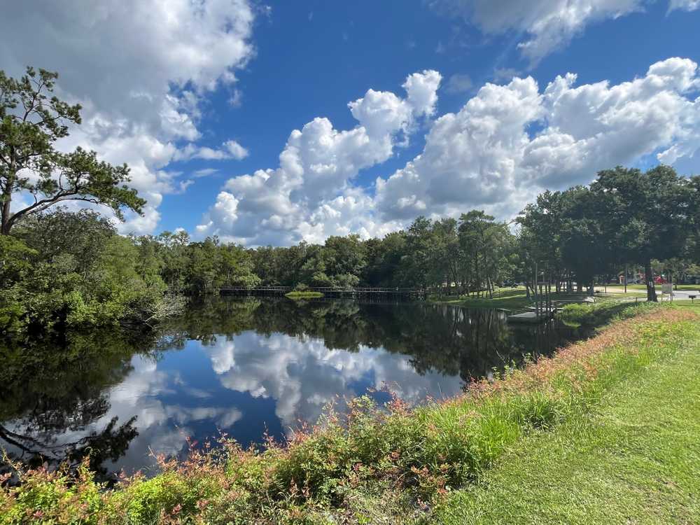 Myron B. Hodge City Park -  Sopchoppy, FL - Photo 5