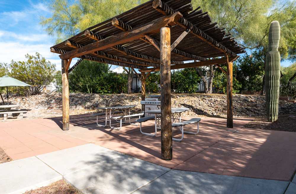 Park Image 6