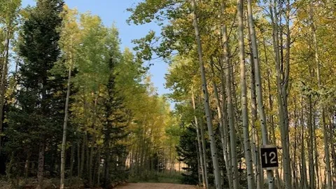 20/30/50 AMP Water Back-In Woods — image 1 of 2