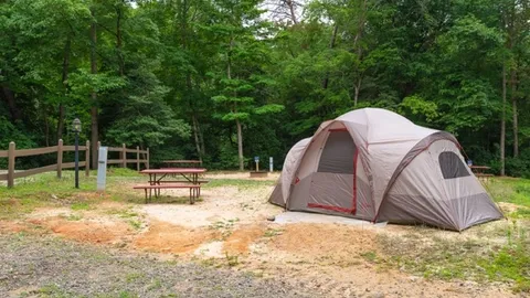 Standard Tent — image 4 of 4
