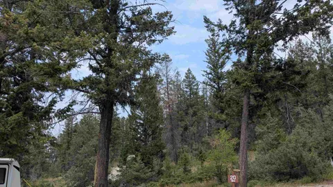 UNSERVICED RV SPOTS (No Tents Allowed) — image 2 of 11
