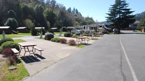 Pull-Thru RV Site-East Premium — image 8 of 8