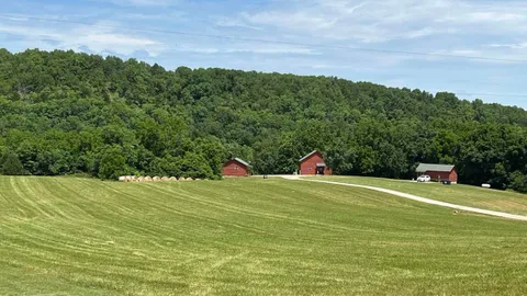 Oak — image 18 of 18