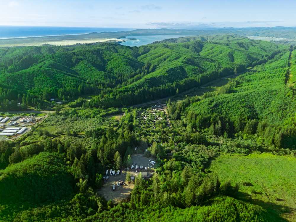 Oregon Coast RV Resort -  Winchester Bay, OR - Photo 2