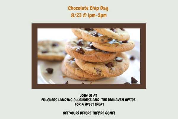 Chocolate Chip Cookie Day