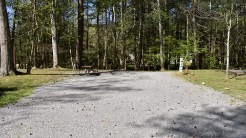 Premium Off River Full Hookup RV Site — image 10 of 10