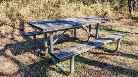Tanner Point Campground — image 2 of 3