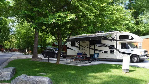 Red Carpet RV Site — image 2 of 7