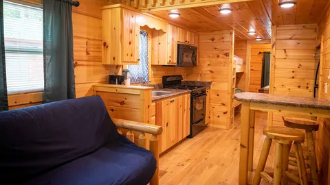 Pine Forest Cabin — image 2 of 23