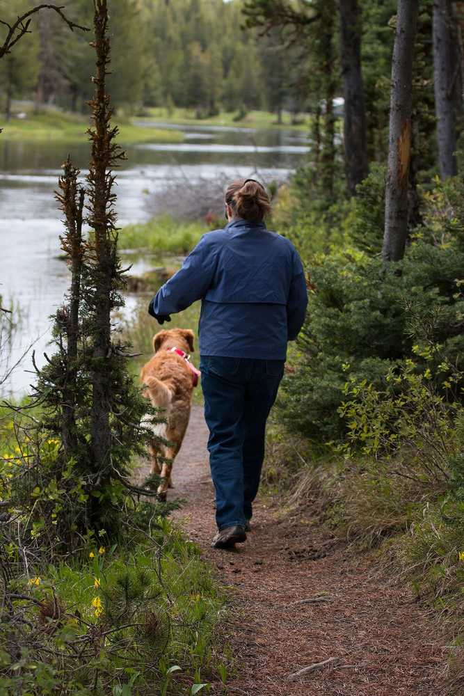 Yellowstone RV Park at Macks Inn, Island Park, Idaho - Photo 4