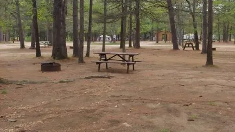 Rustic Tent Site — image 3 of 3