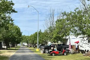 Gilligans Island Resort – photo 3