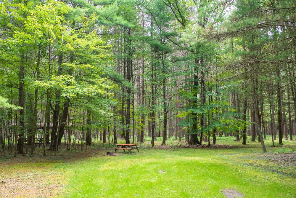 Colors of the Forest RV Resort & Campground, Clarington, Pennsylvania - Photo 3