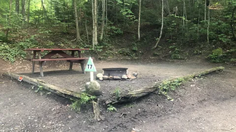 Tent 7 — image 1 of 1