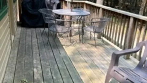 Davis 2 BR Cottage — image 2 of 7