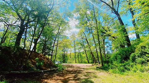 Owen’s Loop / Tent / 20 Amp — image 2 of 2