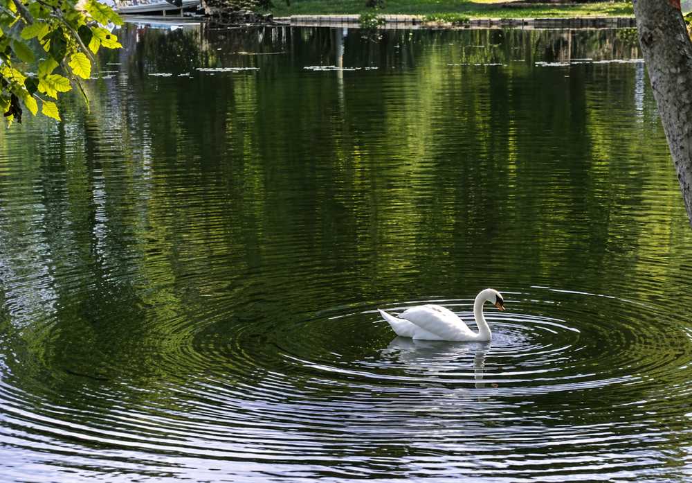 Park Image 11