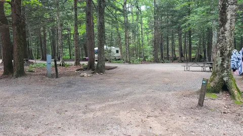 RV- Full Hook Up, Pull Through, Wooded — image 2 of 2