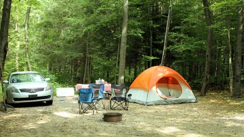 No Hook Up Tent Site — image 1 of 1