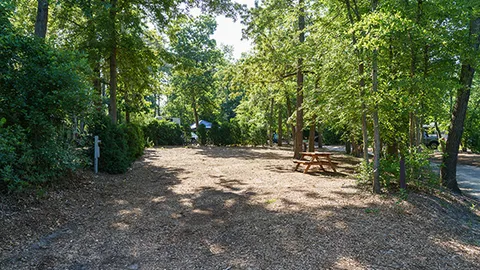 Lakeview Premium RV Site — image 2 of 3