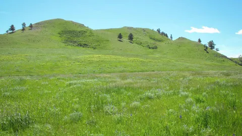 Bear Paw Bowmen — image 2 of 7