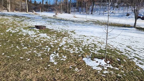 Standard Tent Site — image 8 of 8