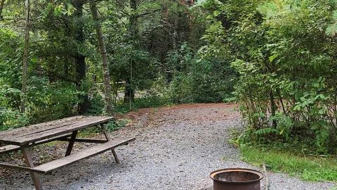Tent Site — image 1 of 3