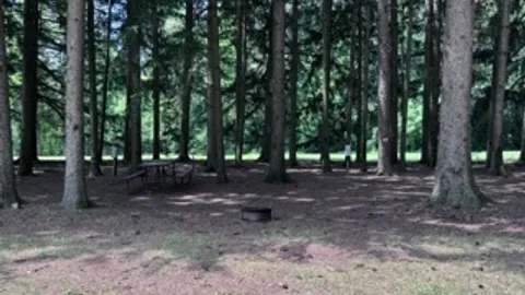 WATER + ELECTRIC TENT/SMALL RV SITE — image 1 of 3