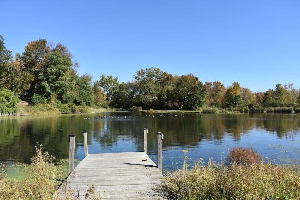 Heritage Acres Campground - Galway, NY - Photo 2