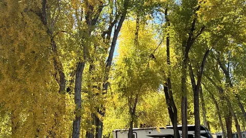 River Wood Site — image 1 of 1