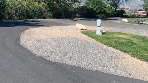 Short Pull-Through Site — image 1 of 1